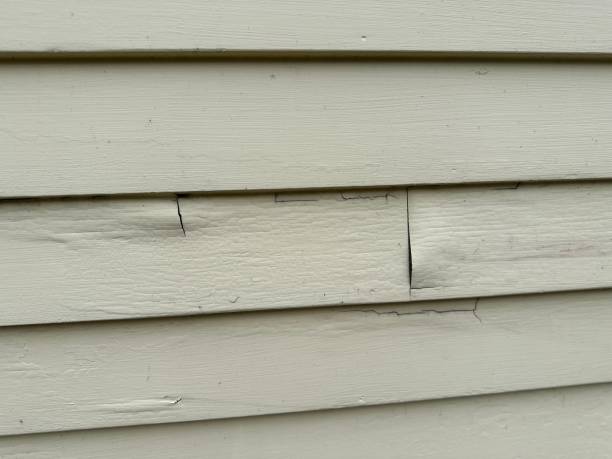 Best Siding Repair  in Alvin, TX